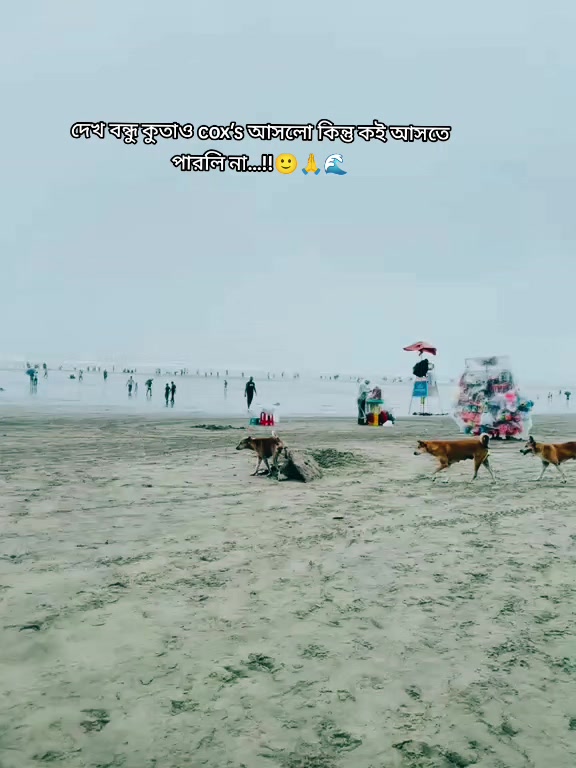@🐼𝗣𝗮𝗻𝗱𝗮🐼