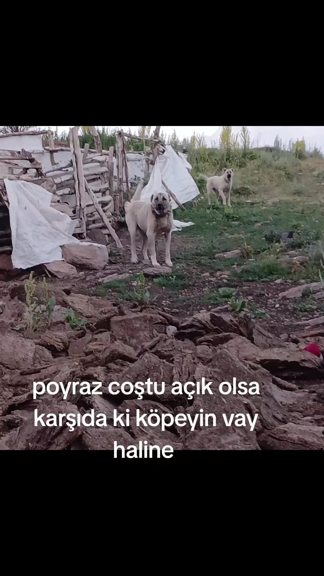 @erdogan 25