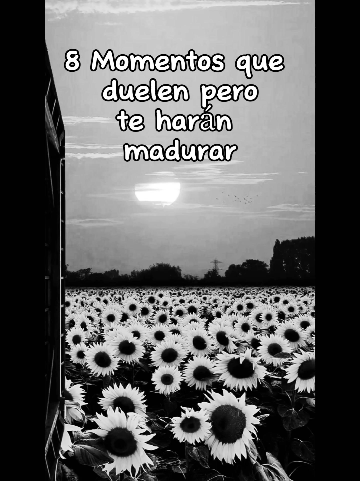 @Mary Camacho