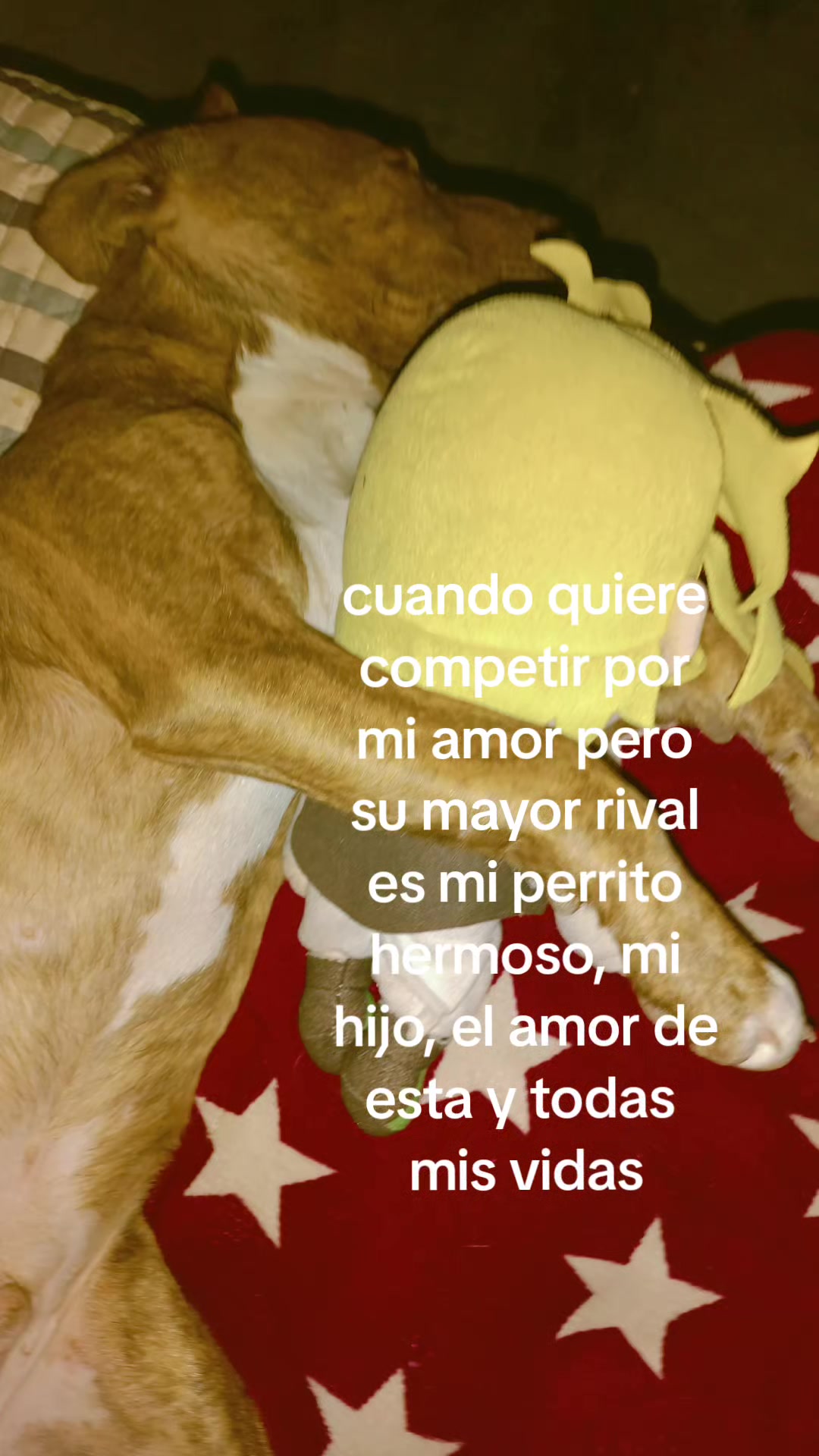 @️Noe:)