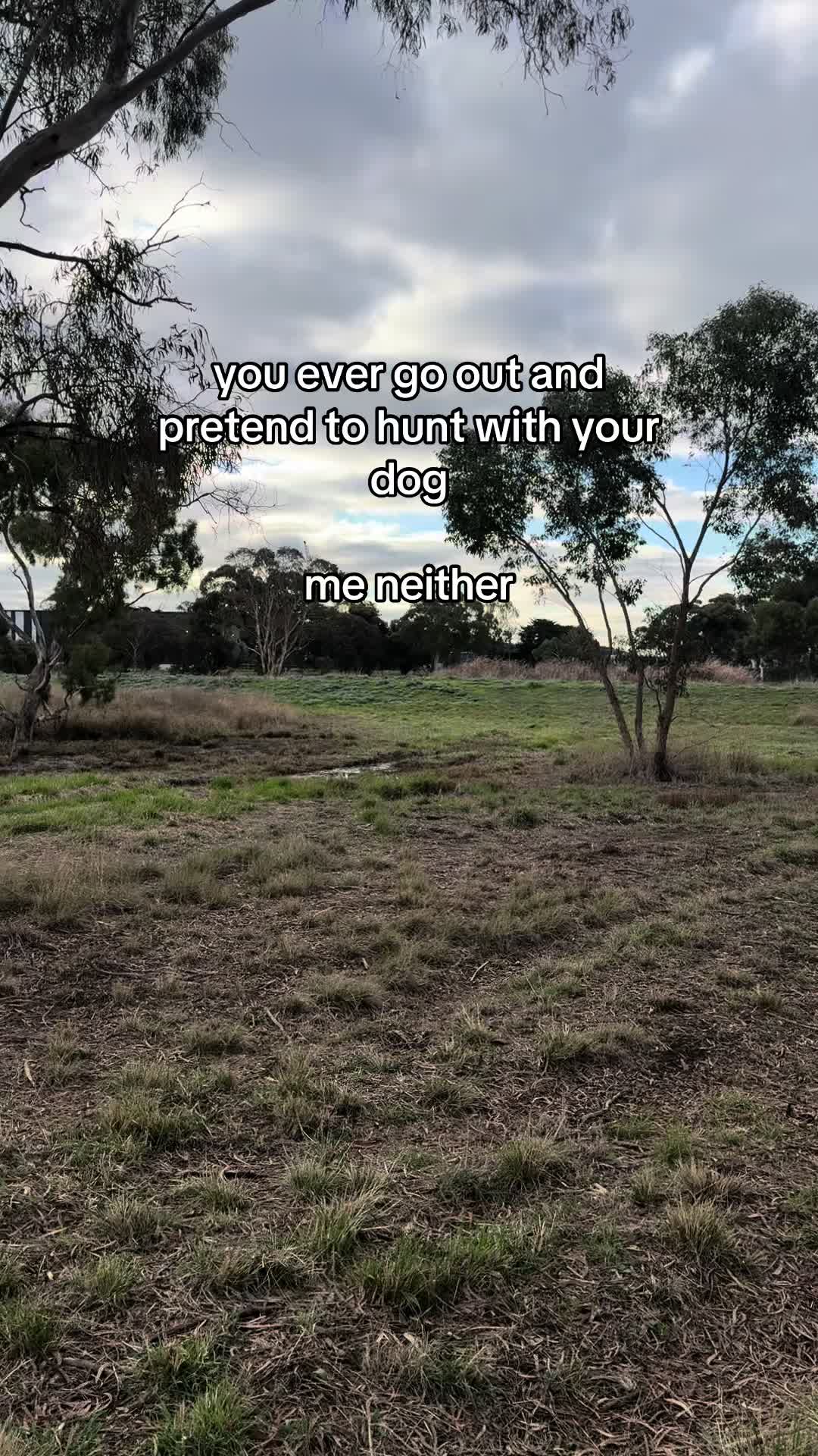 @roverfromthearea