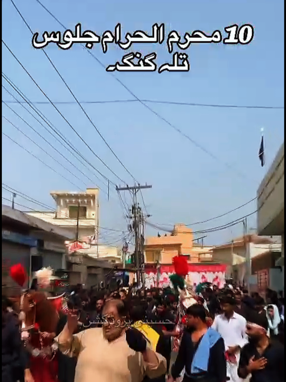 @مرکزی ذوالجناح تلہ گنگ