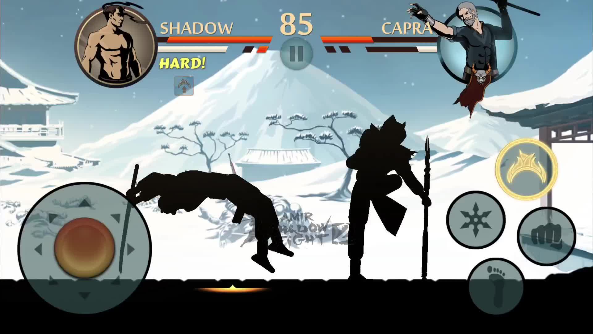 @Amir Shadow Fight