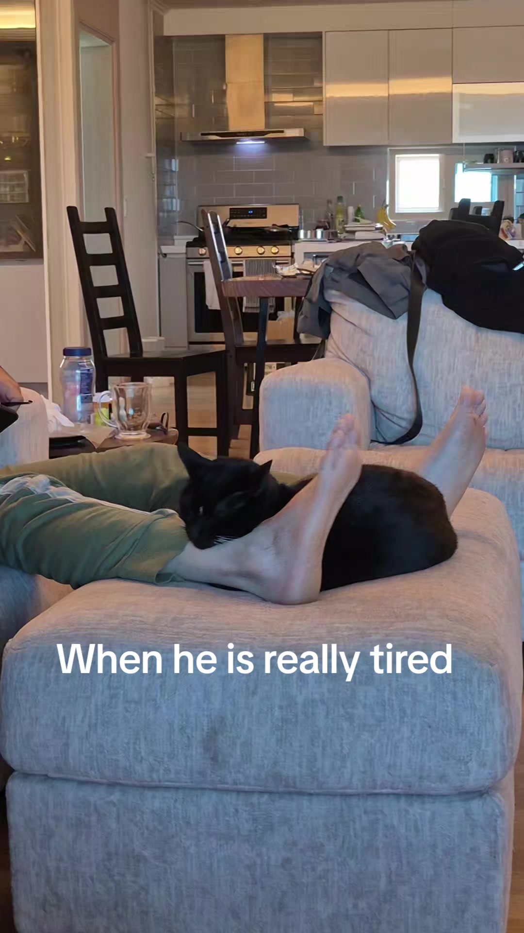 @Random Cat Stuff