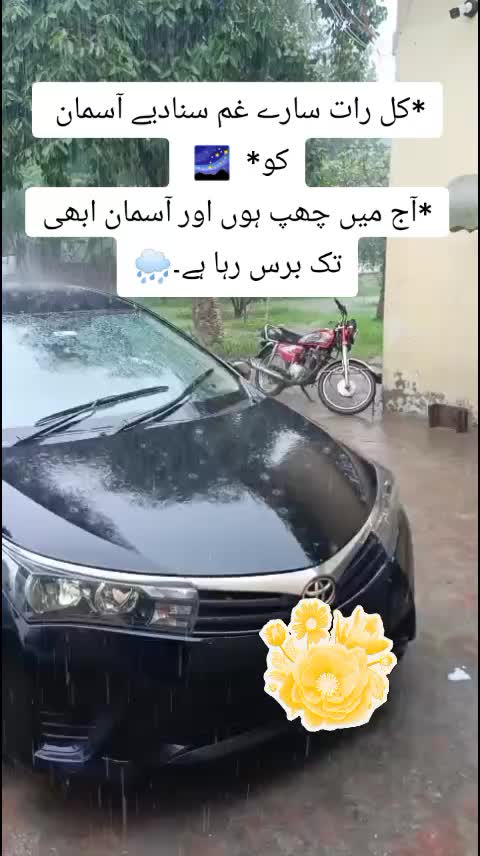@shehzadi g😎