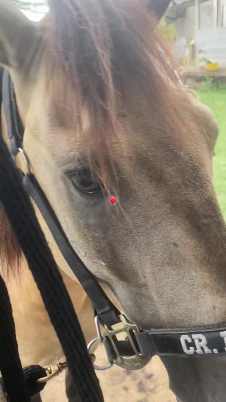 @Castañeda Rubio 🤠❤️