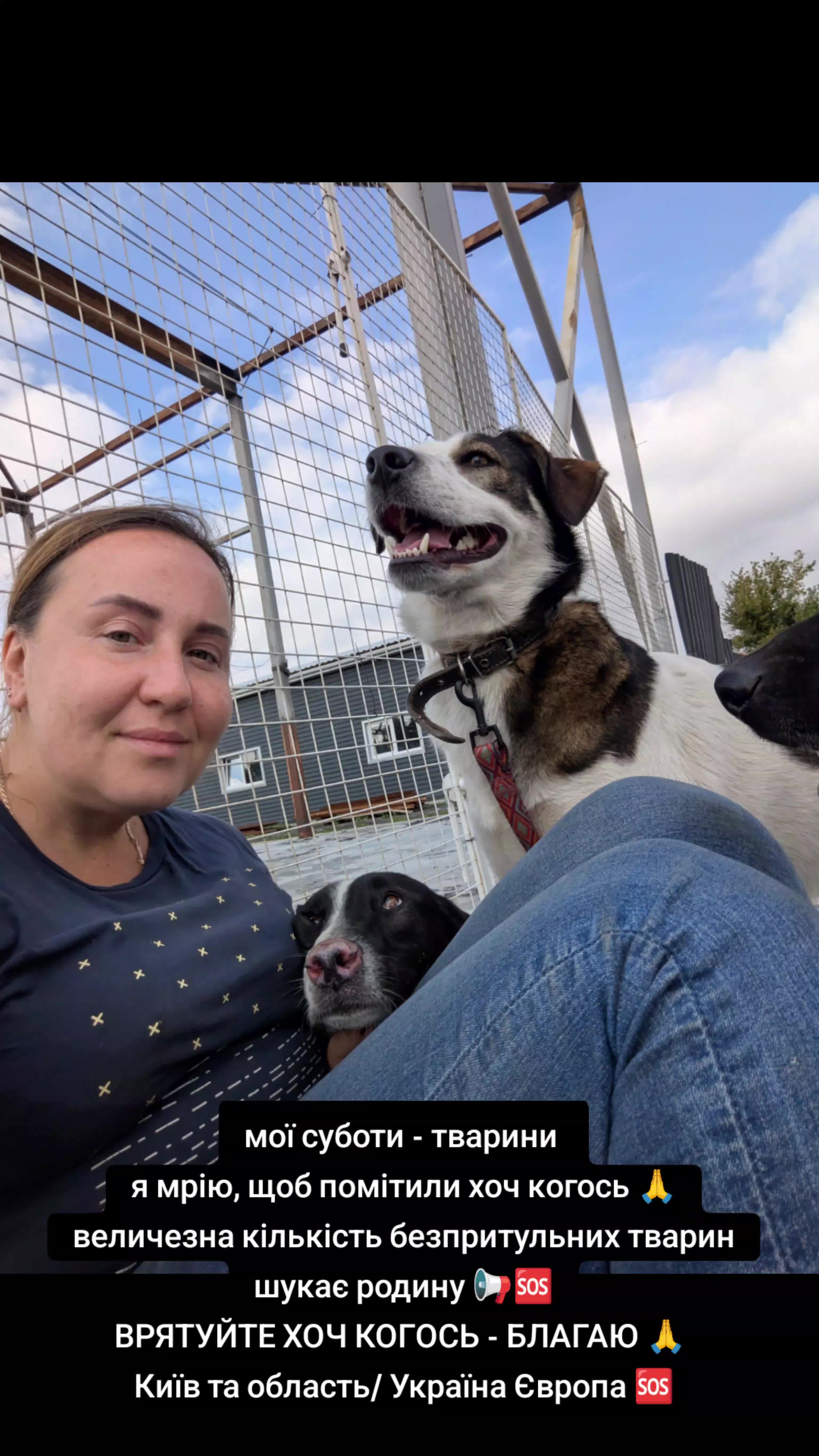 @MosakAnimalHub