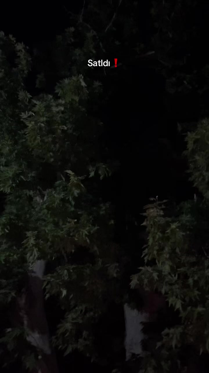 @متين