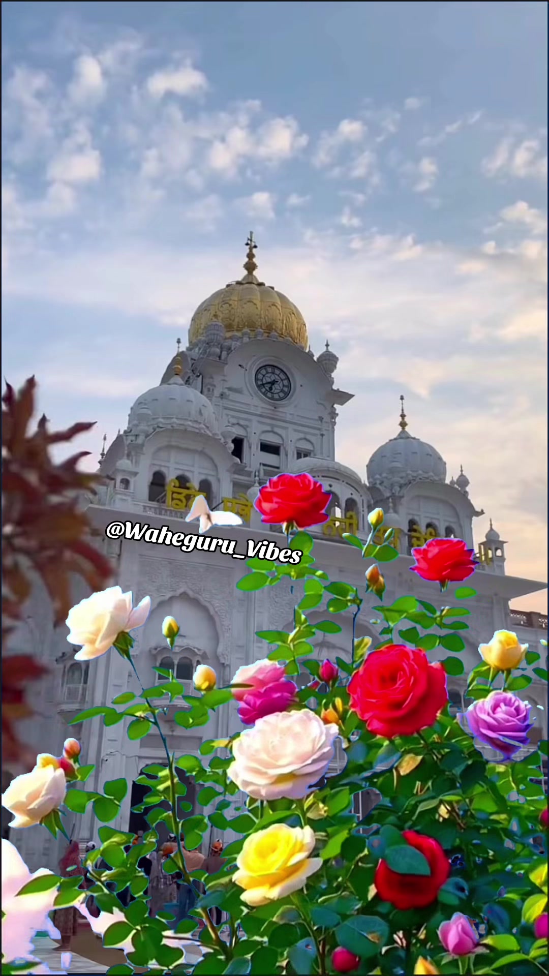 @Waheguru_Vibes