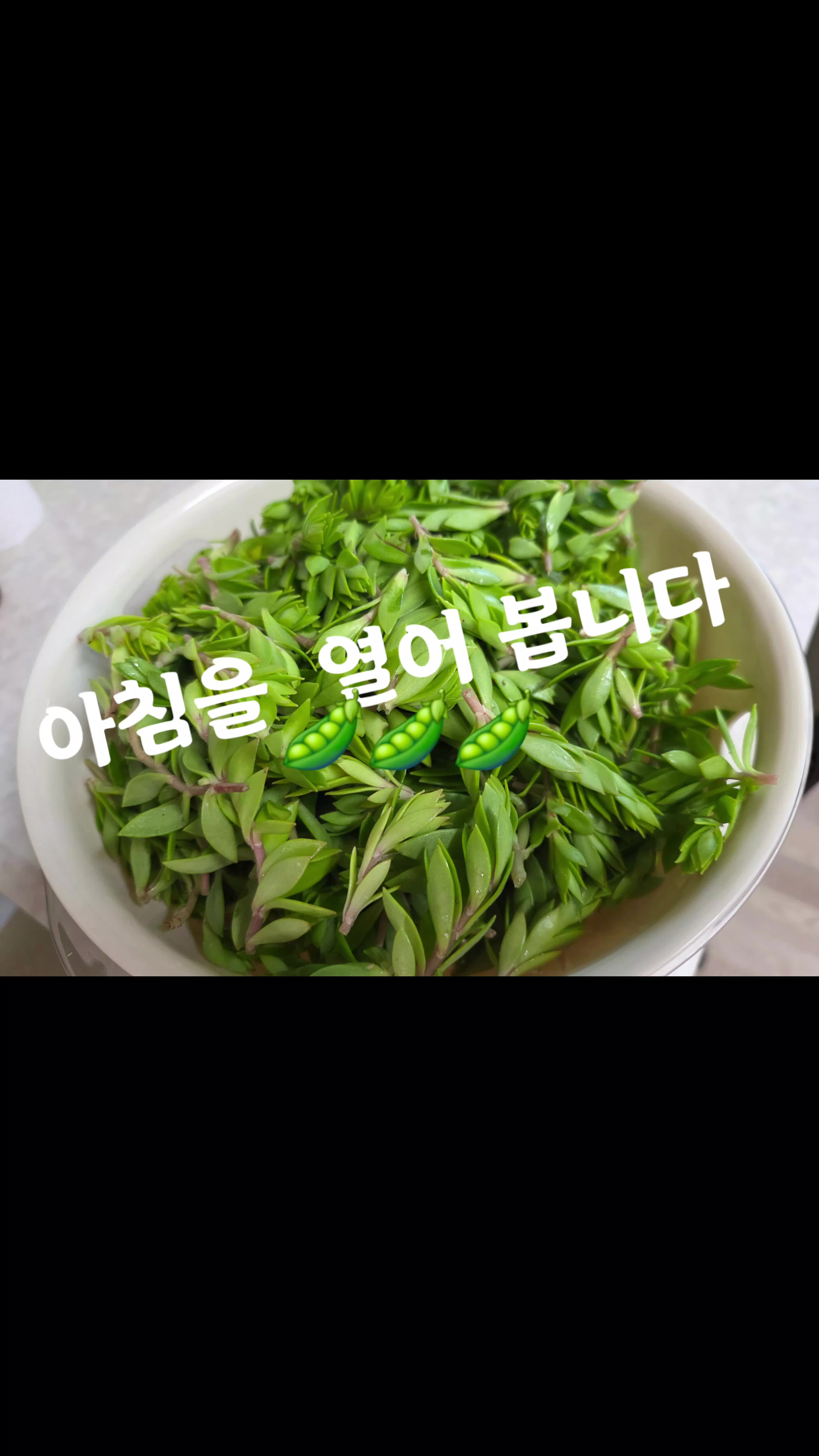@요리 잘하는 이사임당