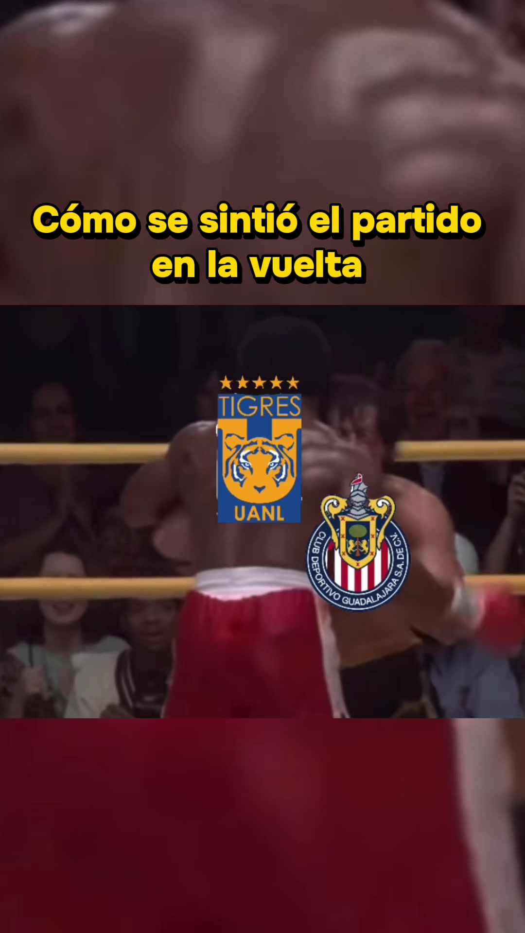 @Teo