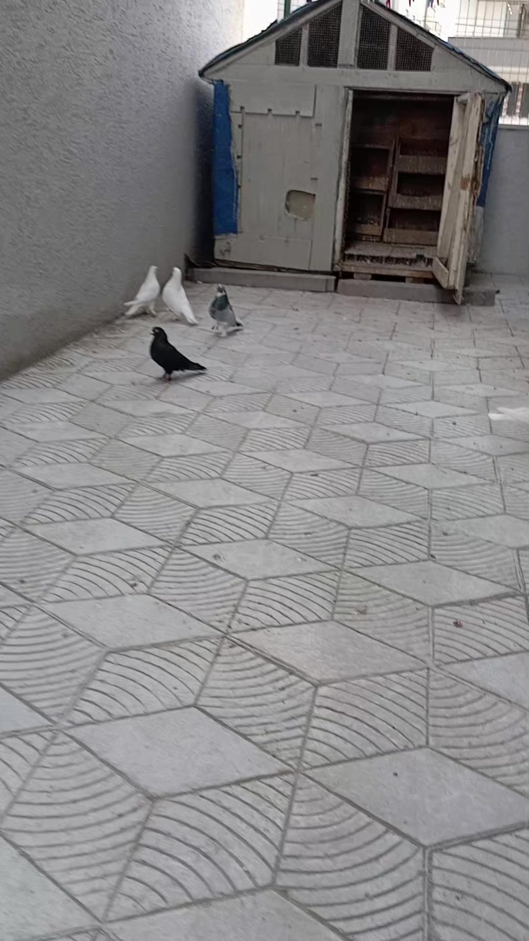 @Kenan Öztürk