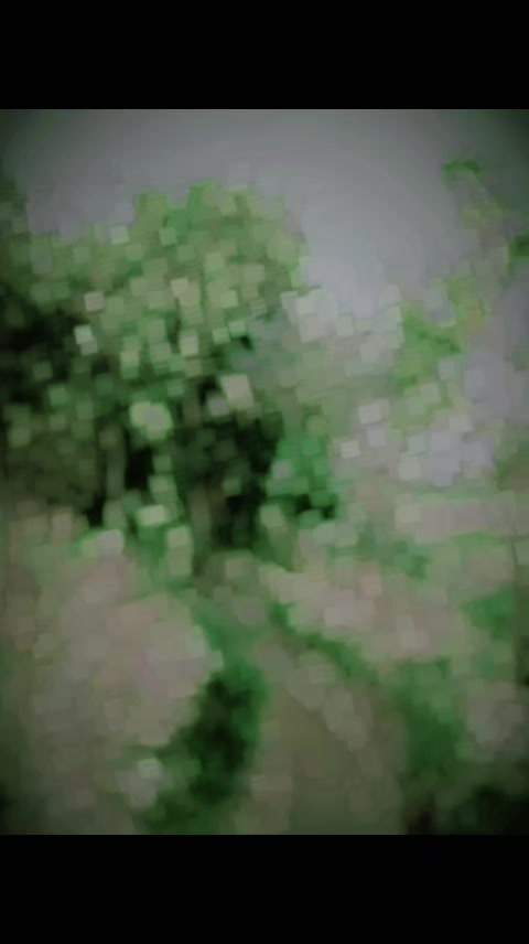 @&Icirc;'m M&euml;&Euml;r &AElig;fZ&atilde;L👑