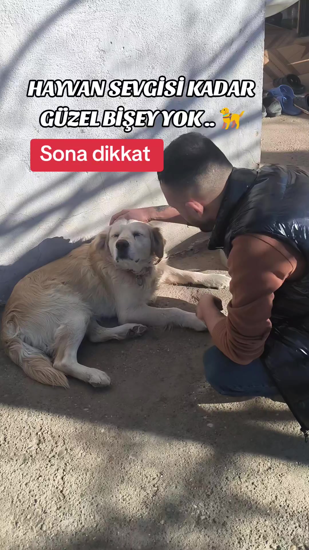 @KARA 🦅