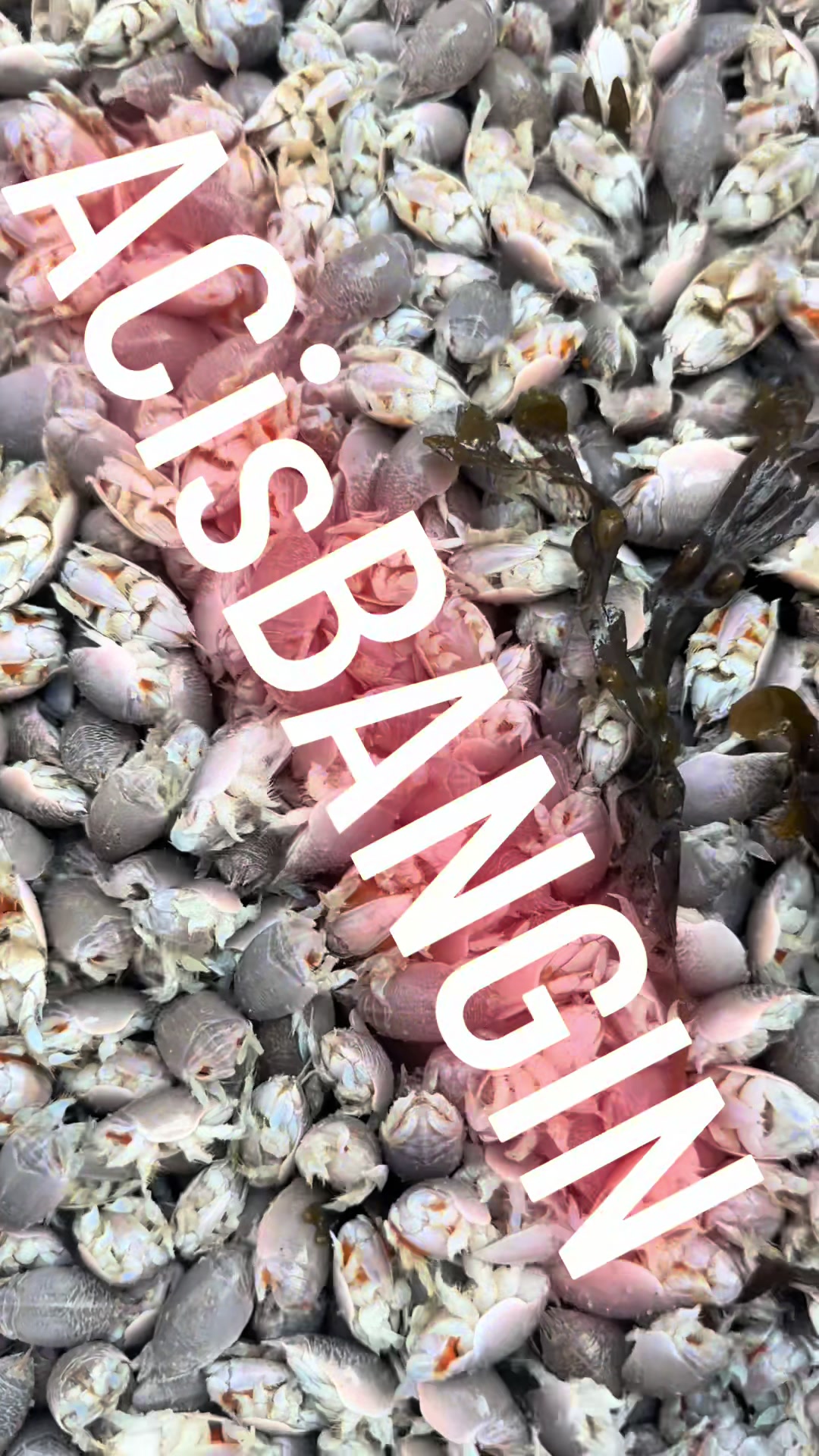 @One stop bait & tackle