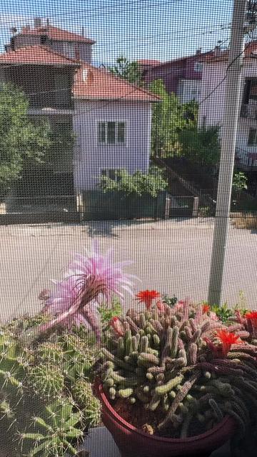 @Gülay cengiz