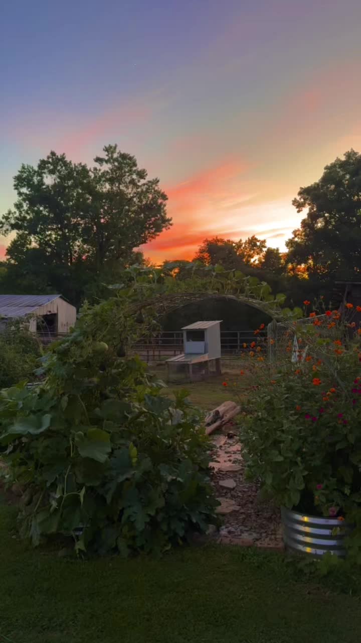 @jacksonridgefarm