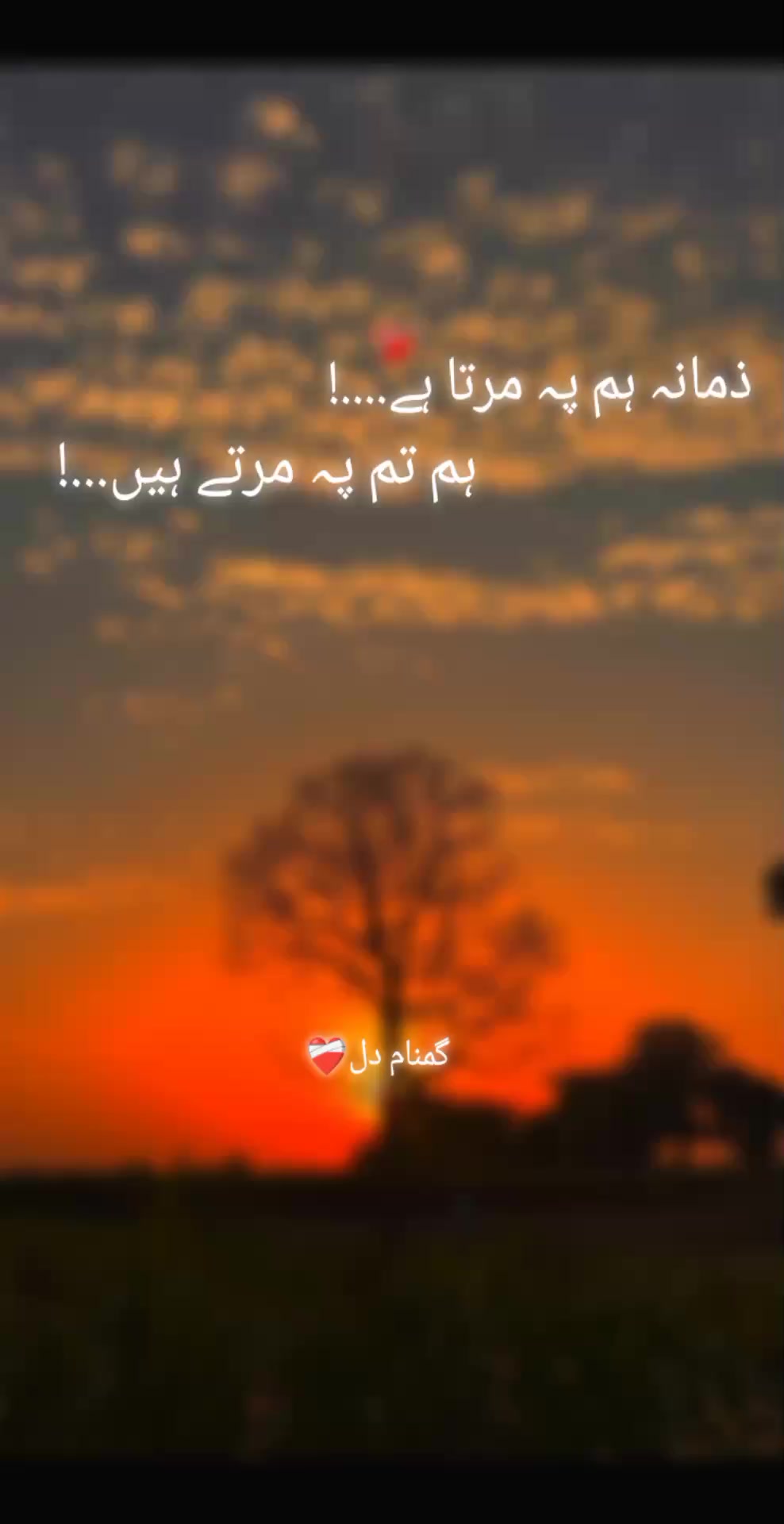 @گمنام دل❤️🩹