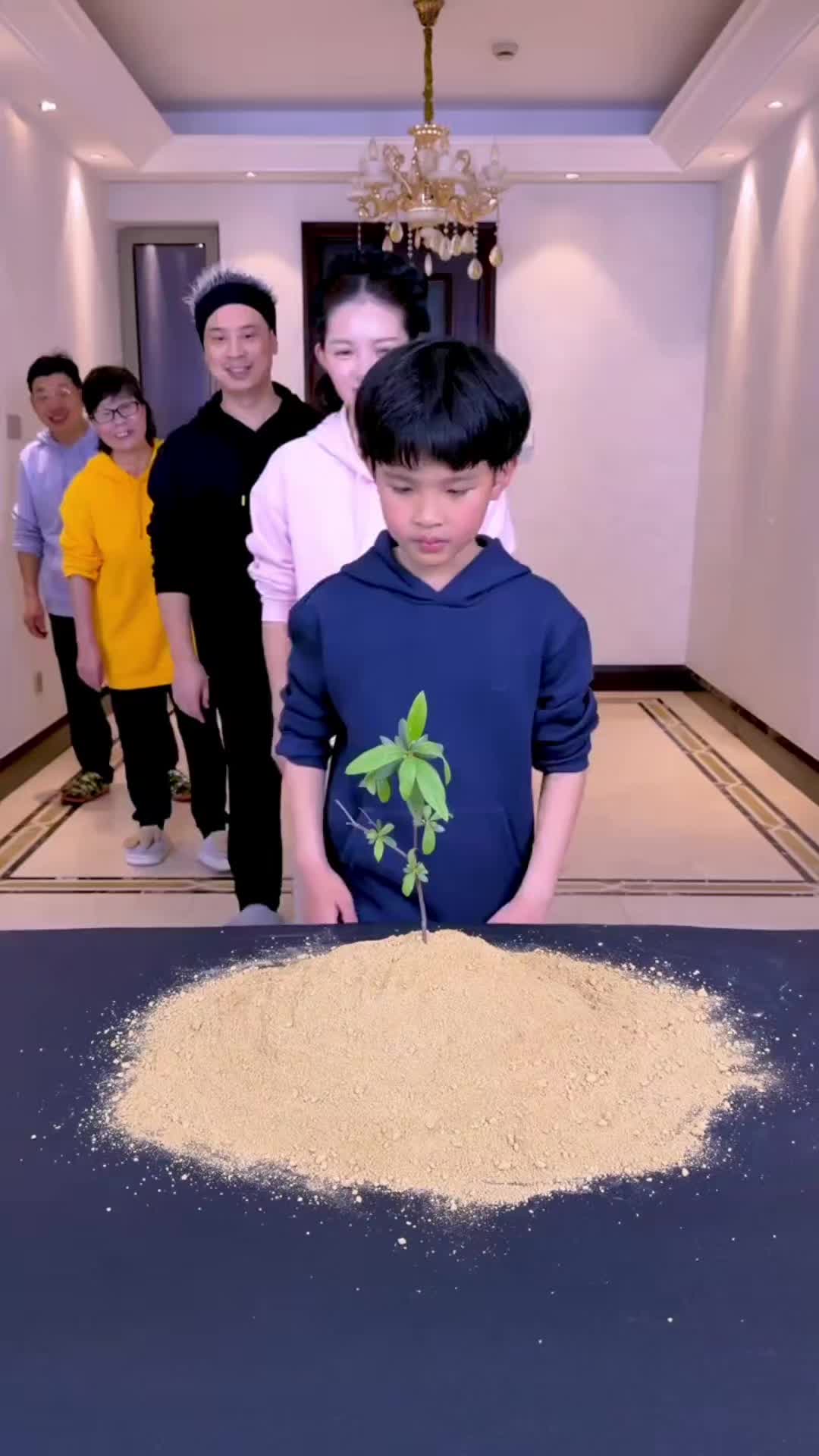 @AMAZING VIDEOS