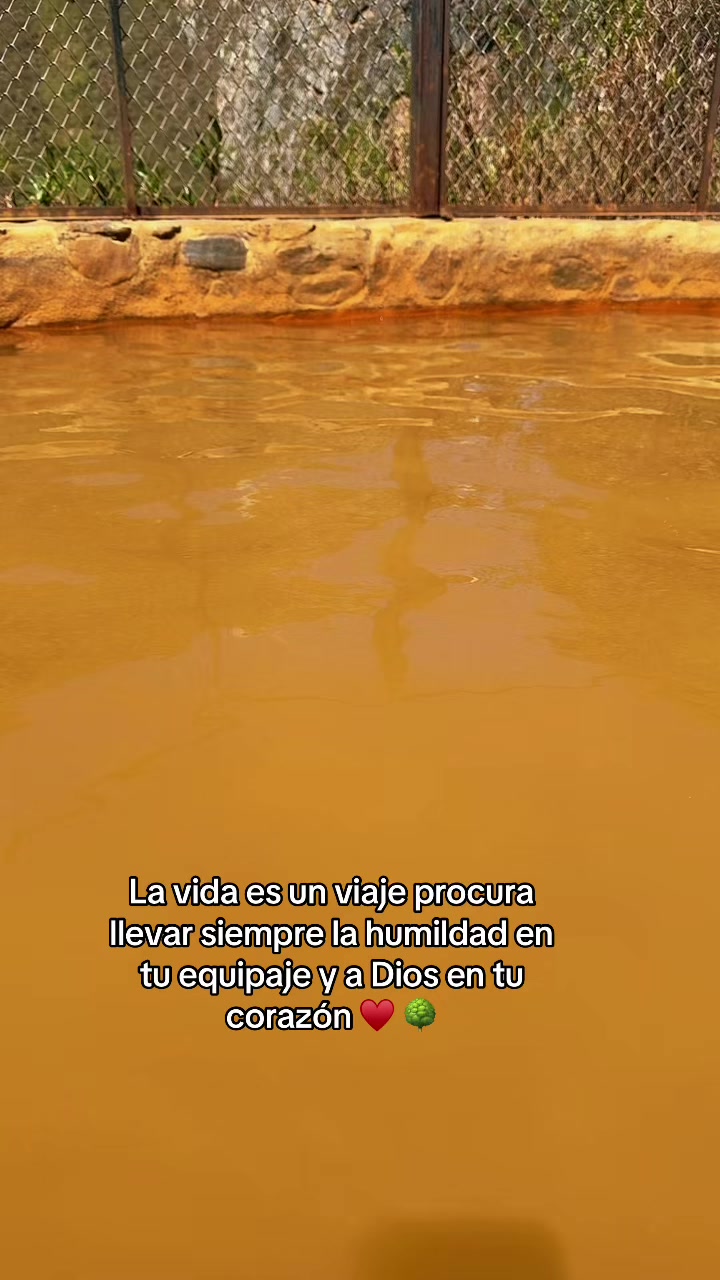 @Graciela Cadenillas