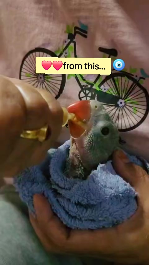 @Bijita
