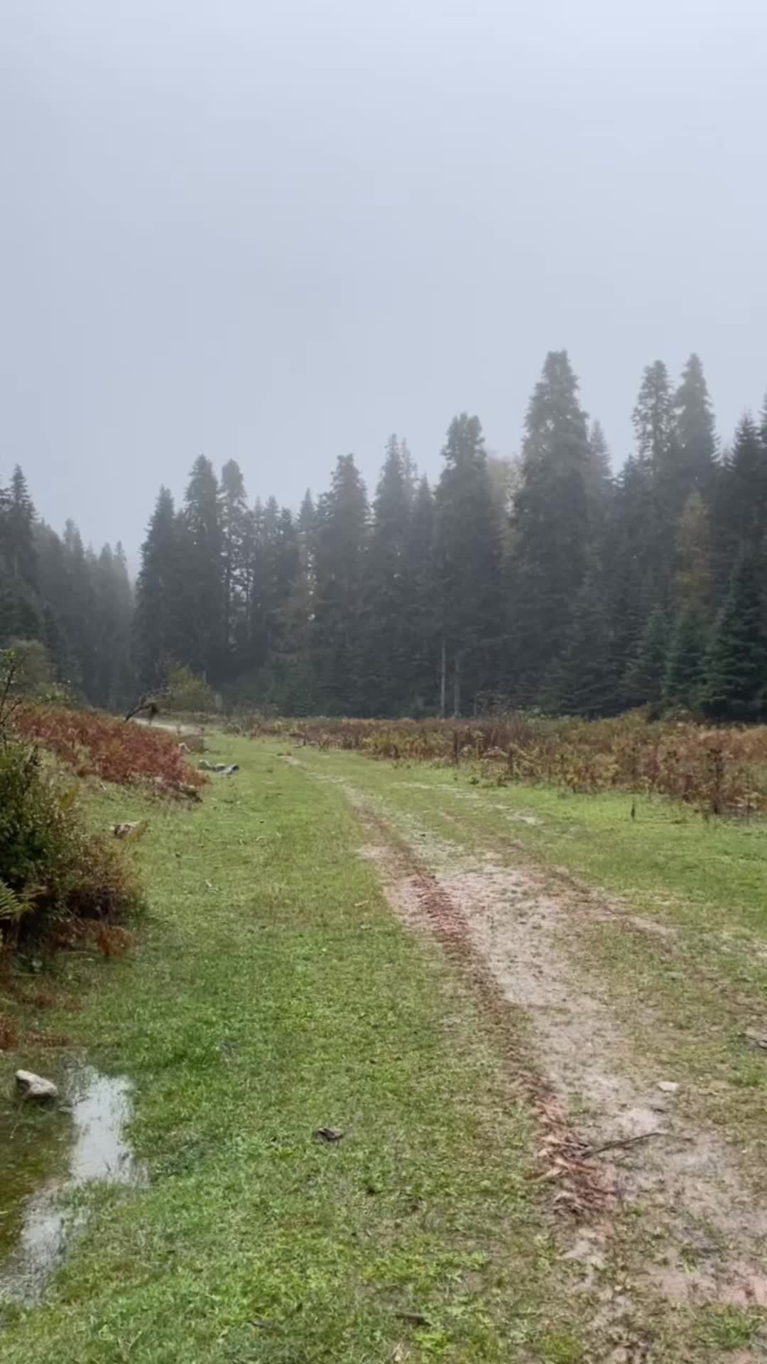 @Mert Ünsal