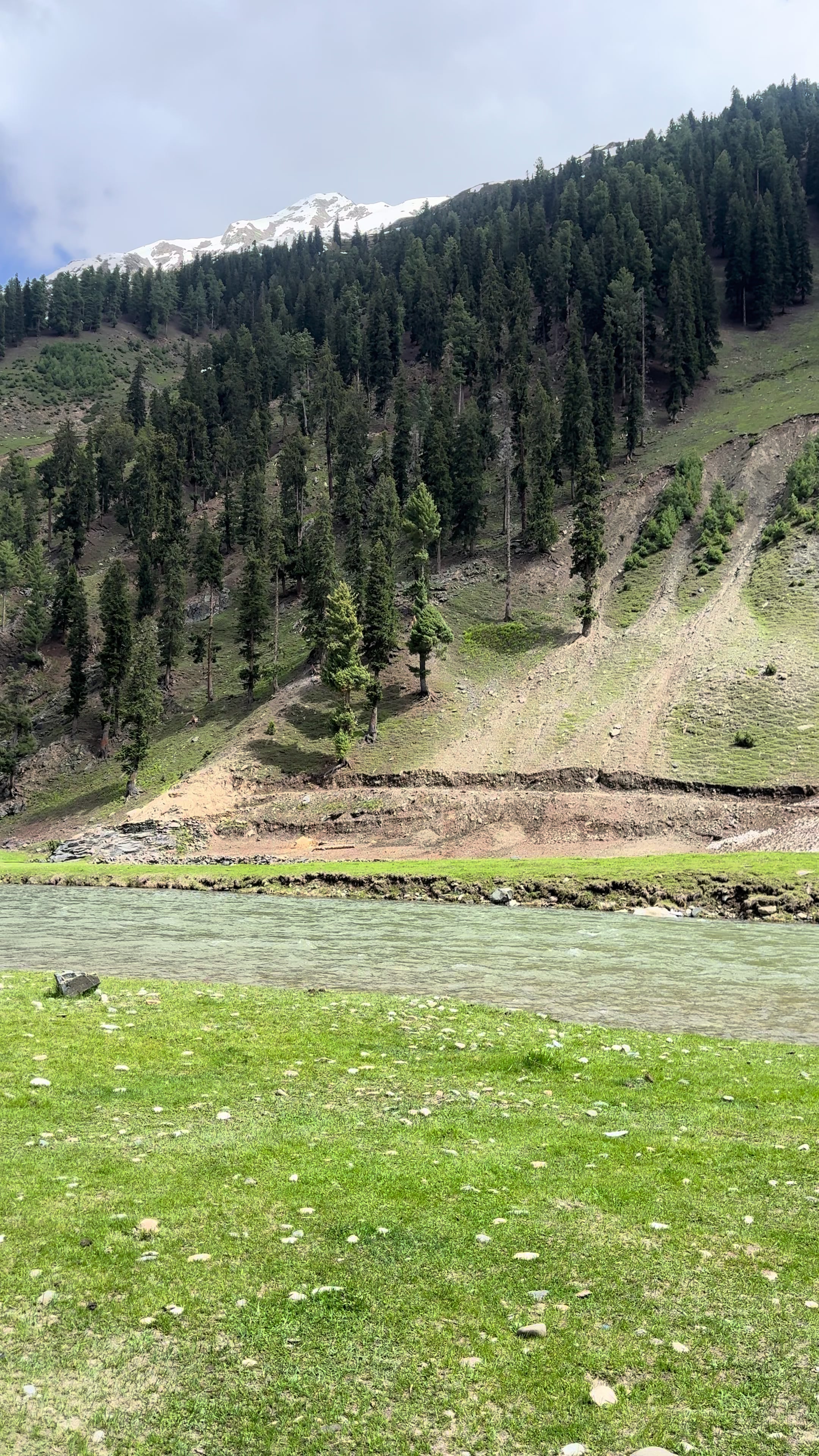@wadood shah