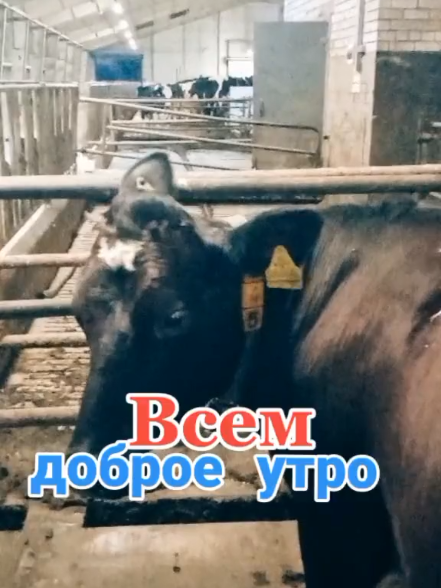 @Игорь