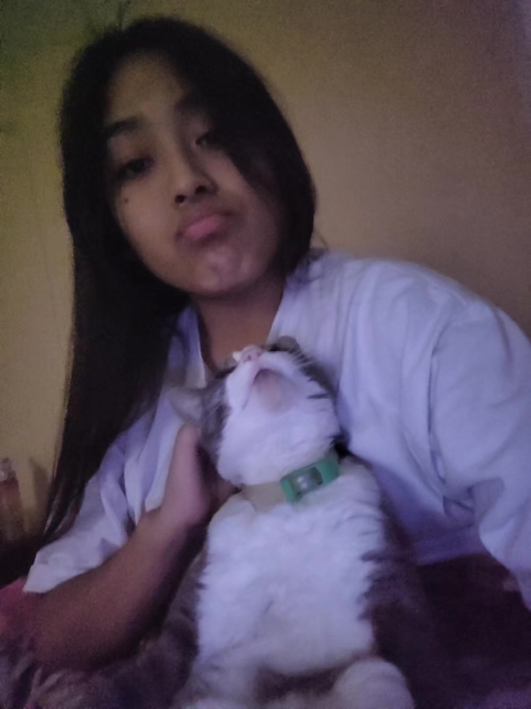 @๐๐ถ๐๐พ๐๐ง๐ปโ๏ธ