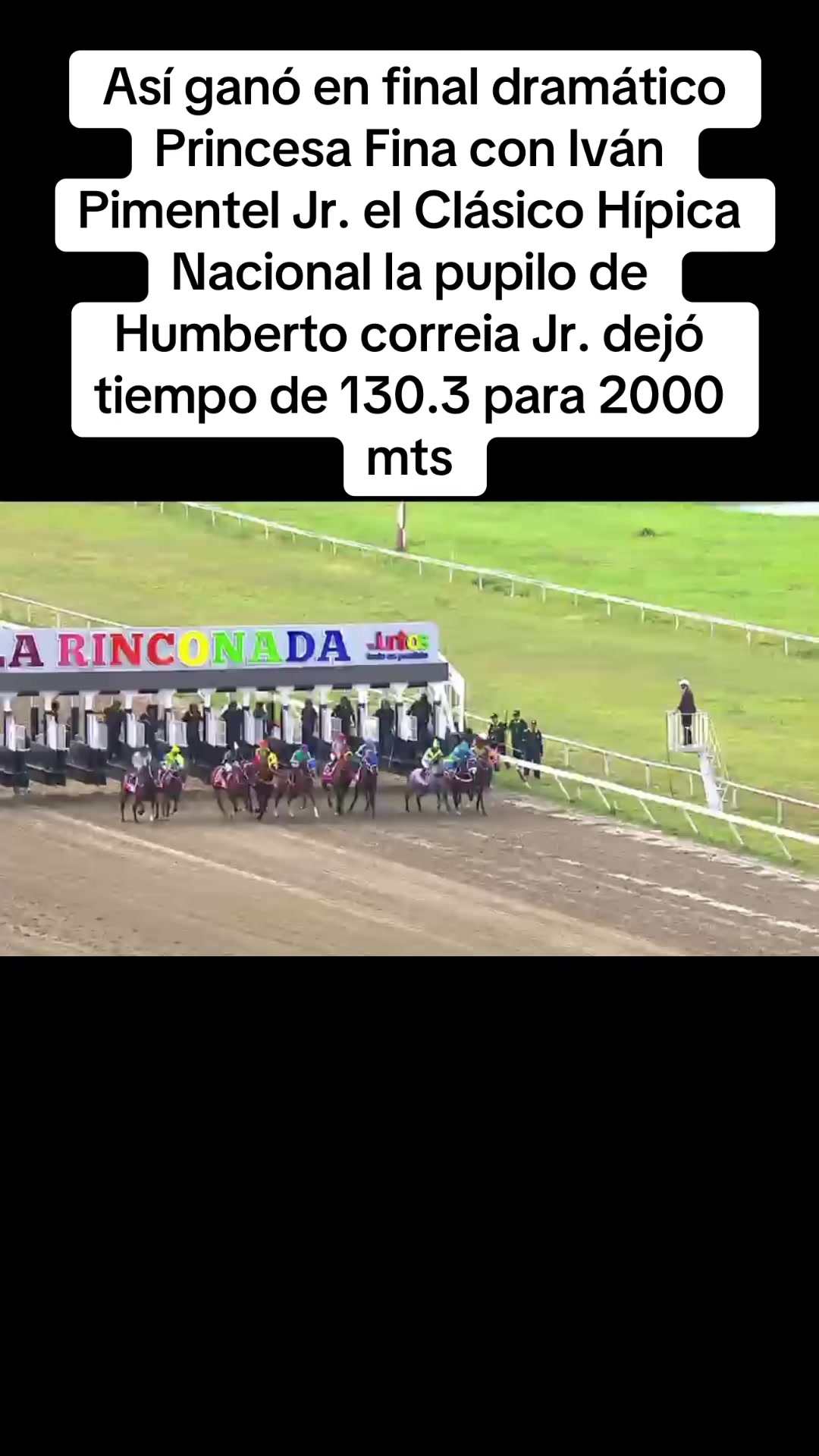 @Harrington Hurtado