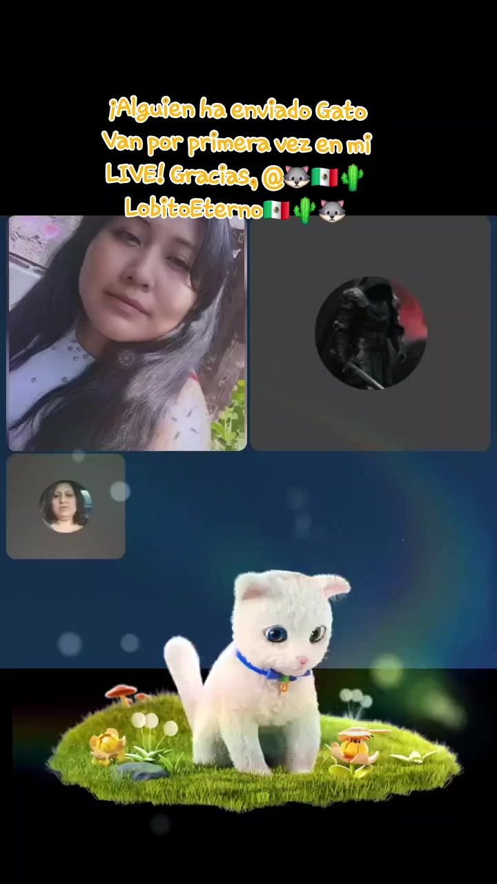 @🐺🇲🇽🌵Lɪᴢʏ🧸✡️🫦❤️😎