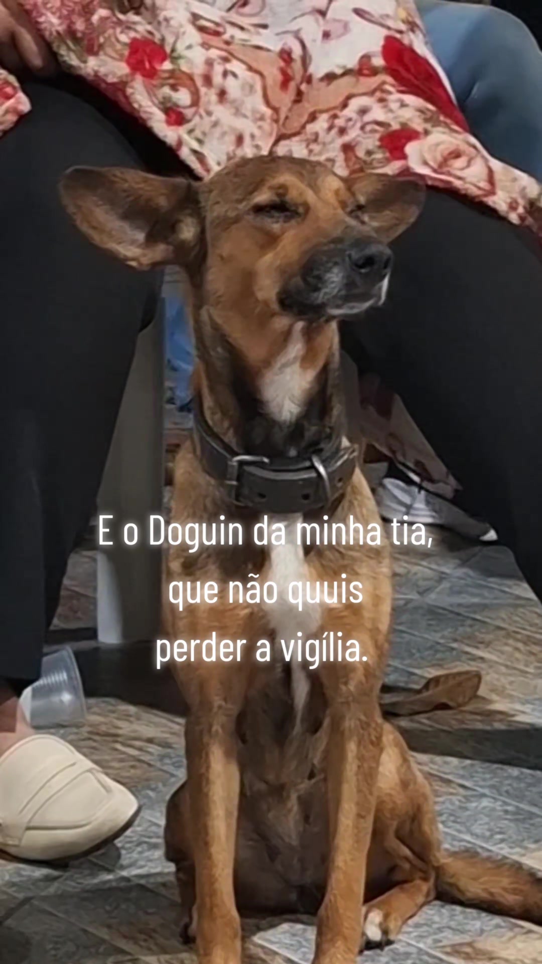@De tudo um pouco