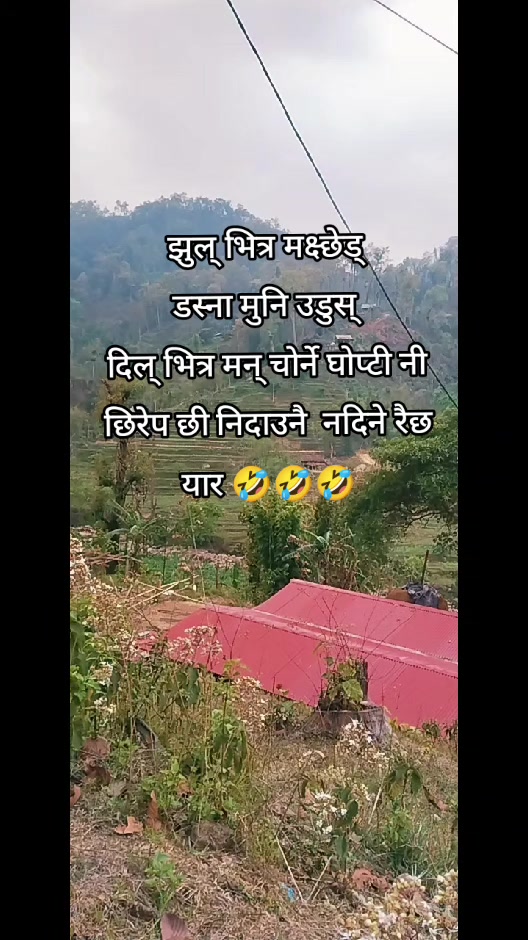 @श्रेष्ठ सप्लायर्स kumar stha