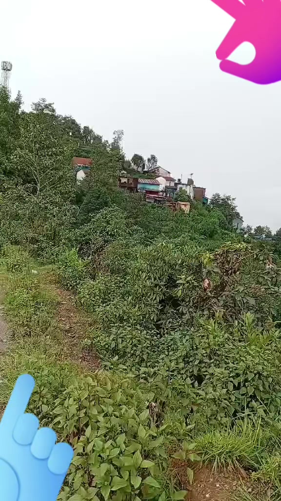 @🇳🇵magar💞D...P🇸🇦