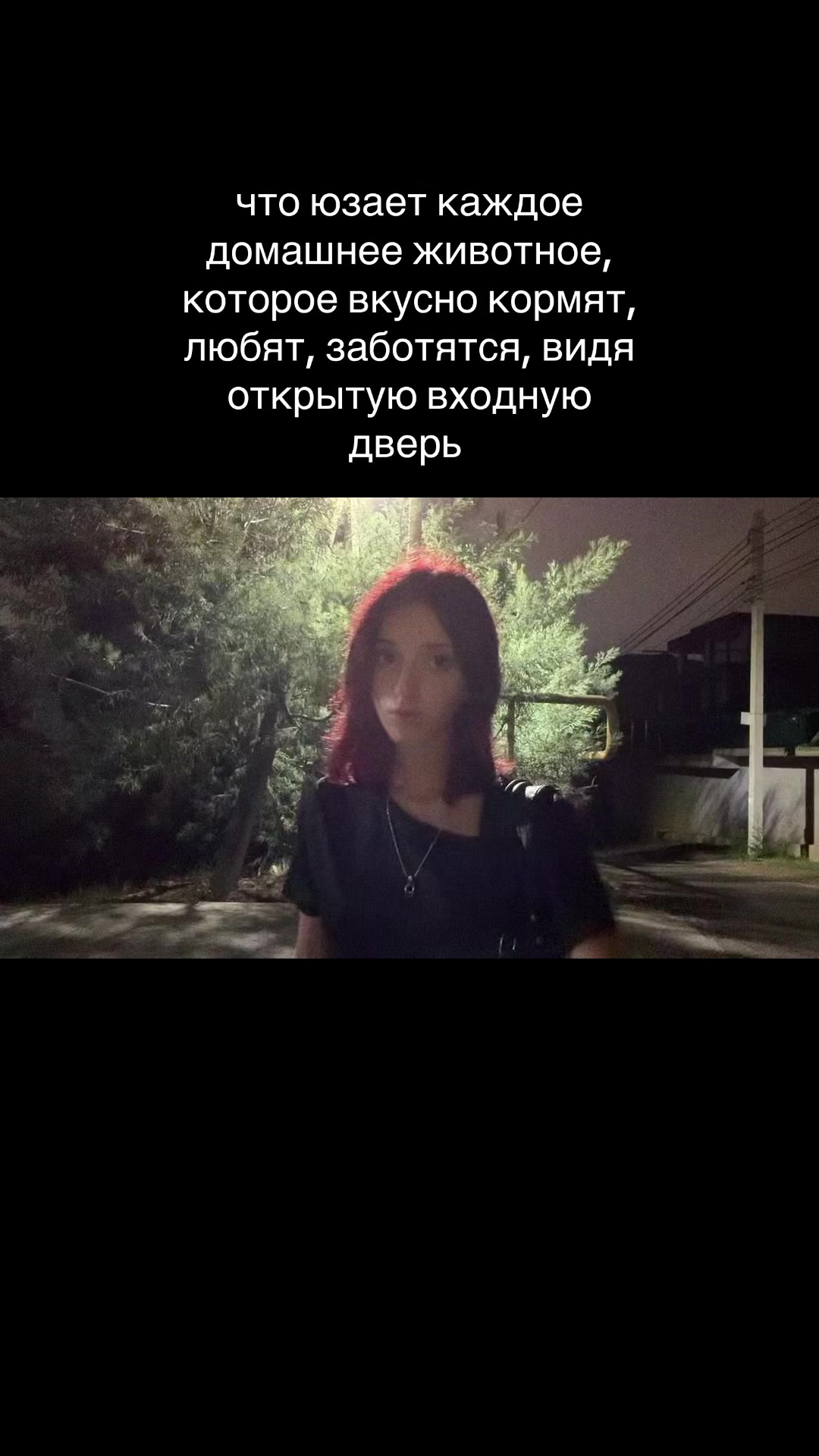 @тгк: ЦИБУЛЯ