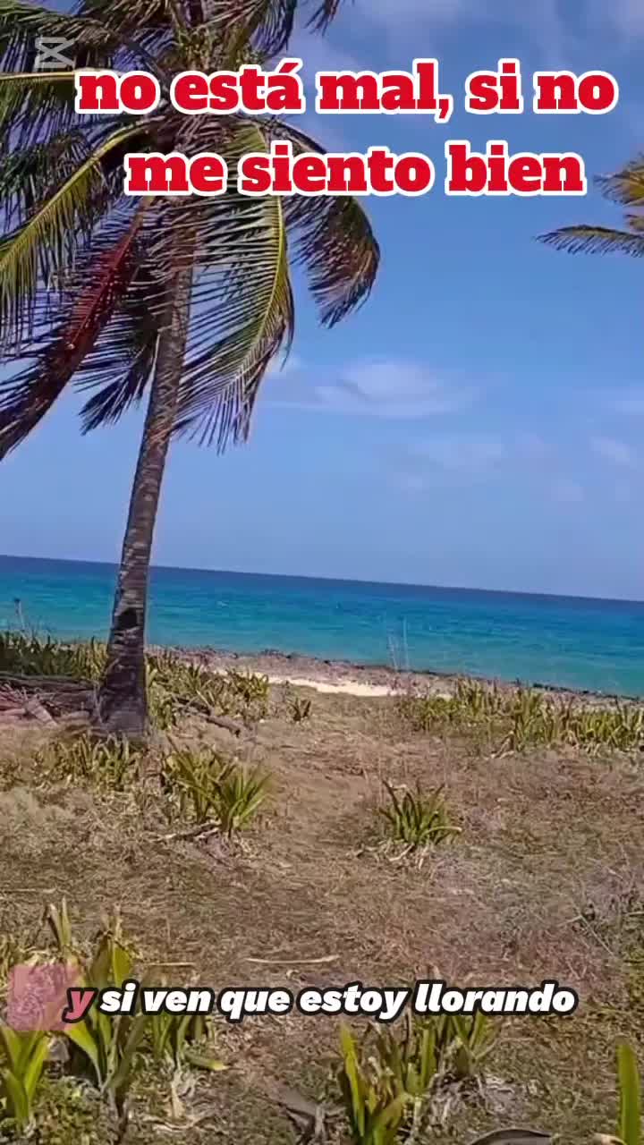 @Fabián tibata