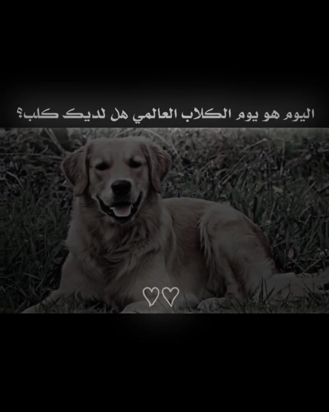 @🇹🇷◗𝘼𝙍𝙇𝘼𝙉 اެࢪݪـاެنـد ◗