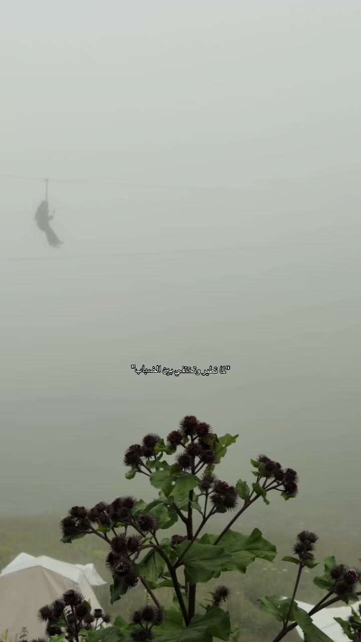 @بُدورᥫ᭡