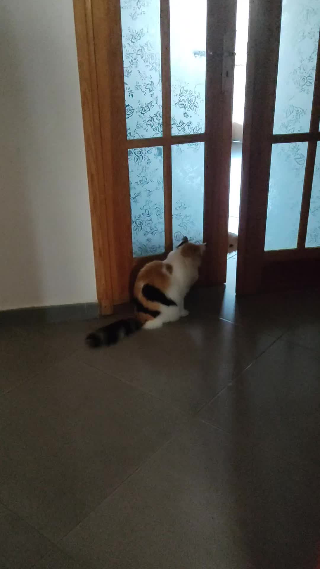 @Prince 🤴 nicotine 🐱nana