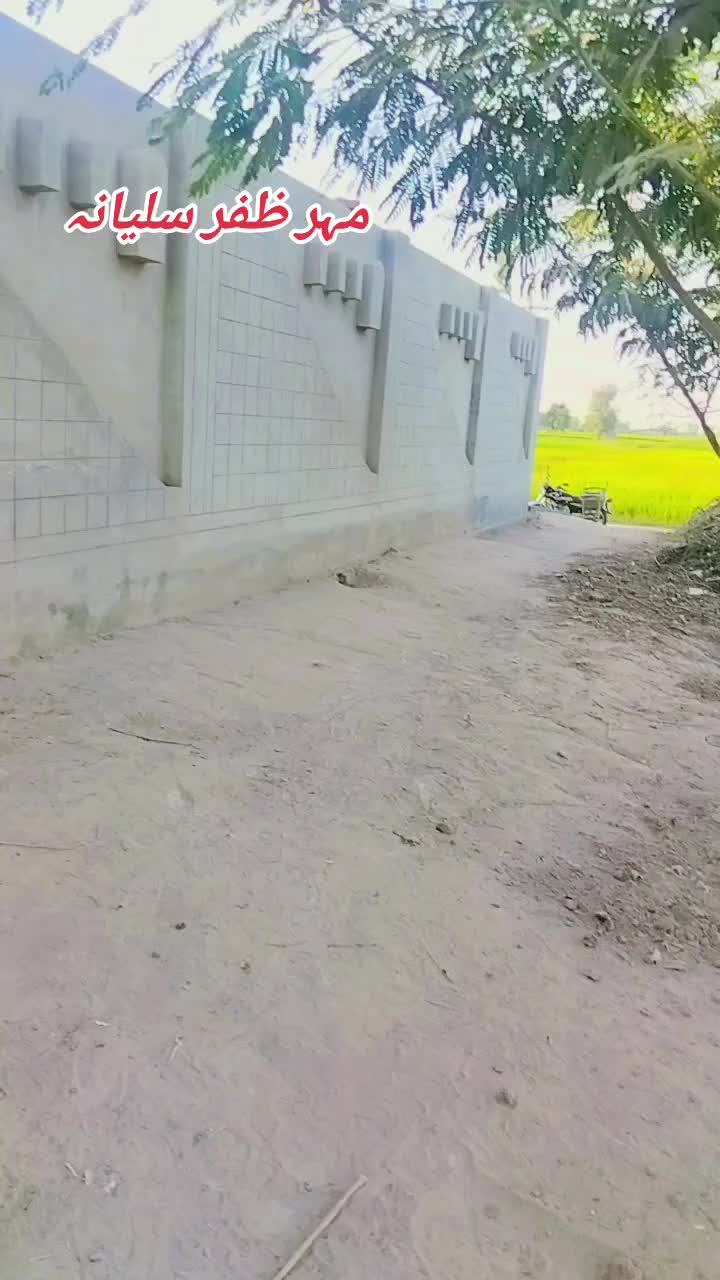@Mahr Zafar salyana