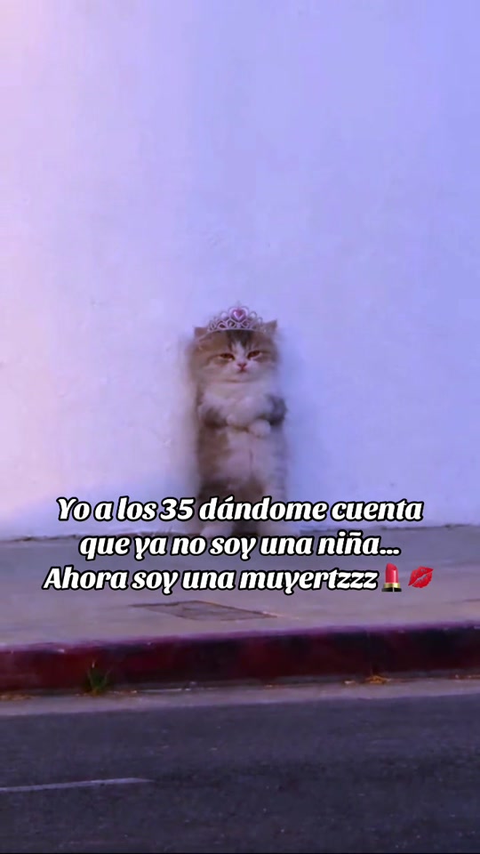 @Javier Villegas