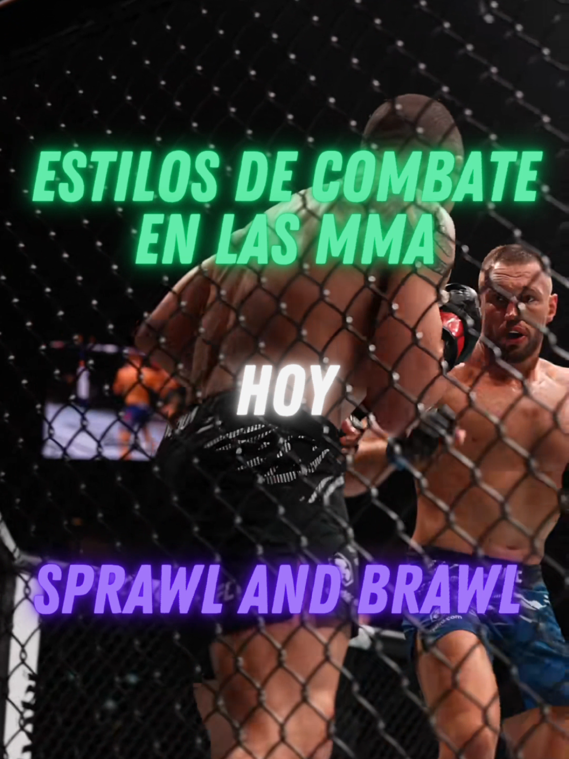 @Camilo Martial