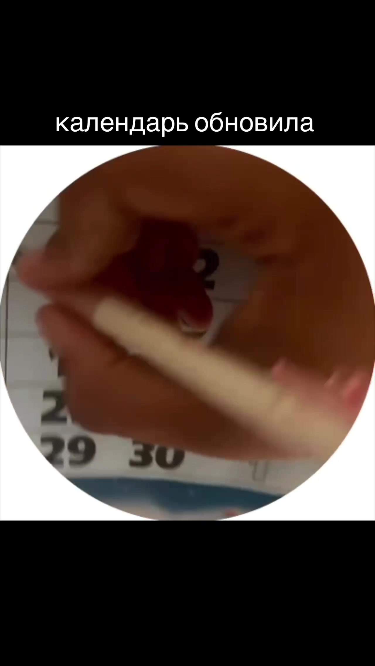@bel_arMe