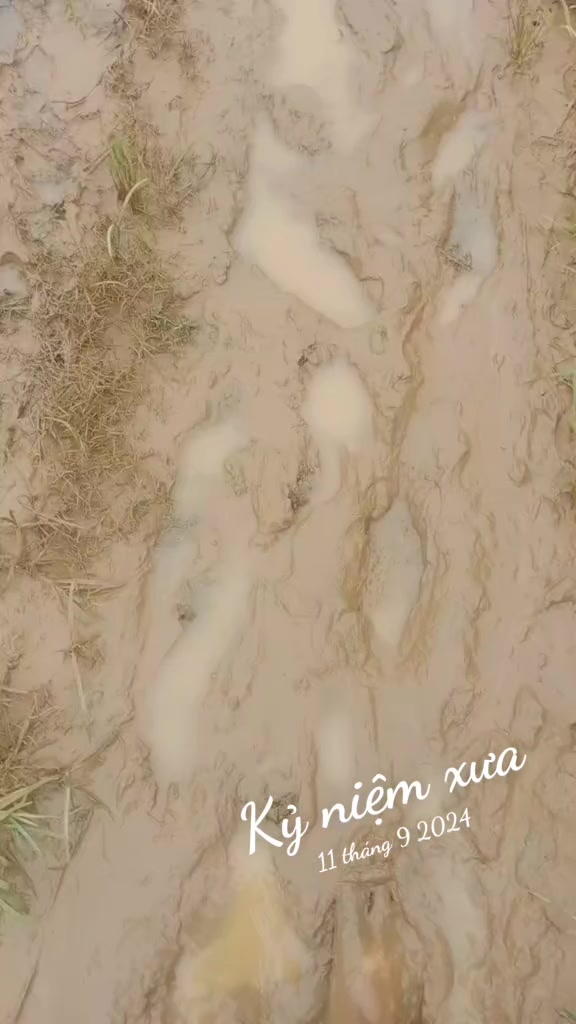 @💞tạ💘Thanh 💞980💞TN