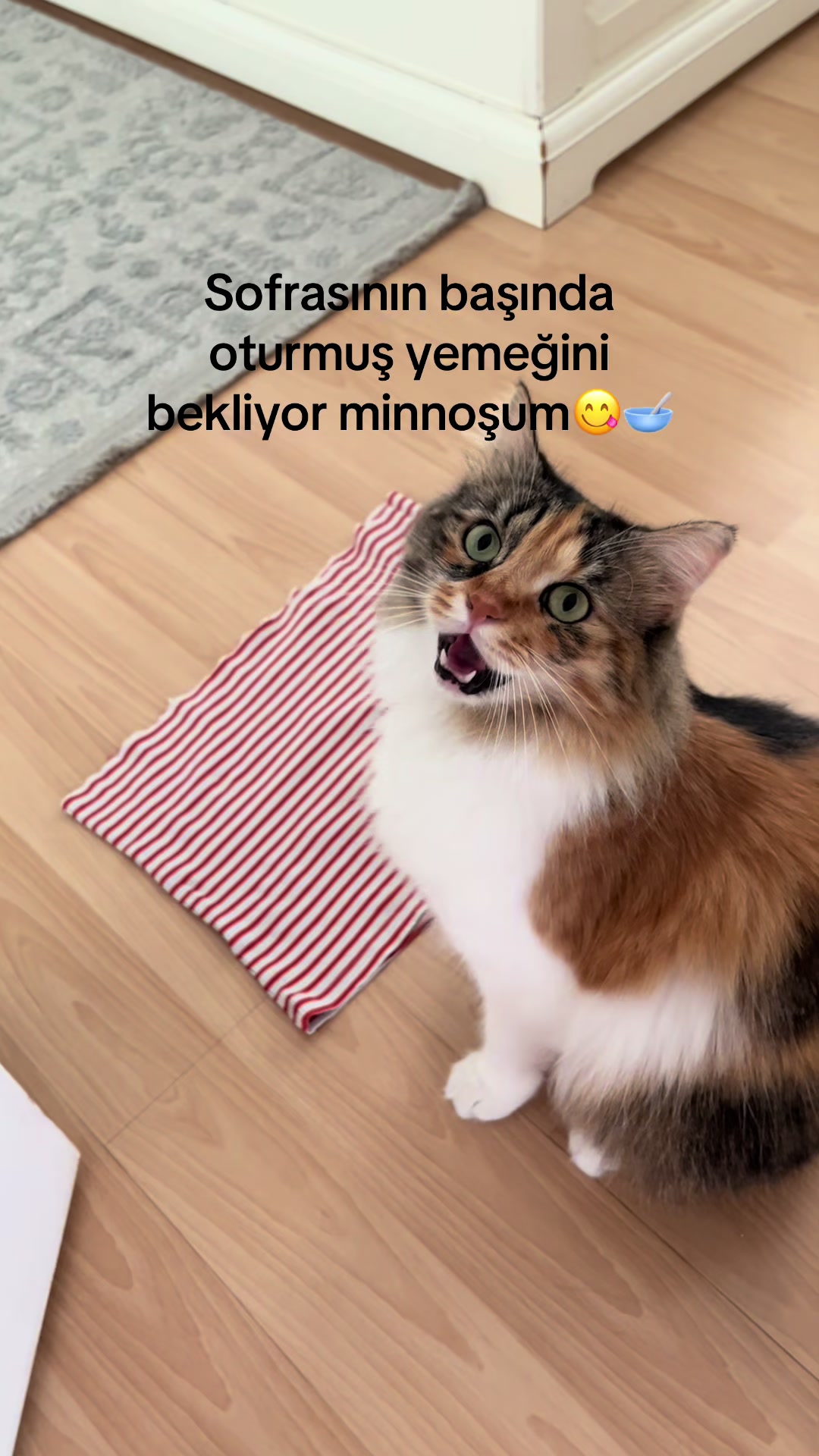@konusankediminnos