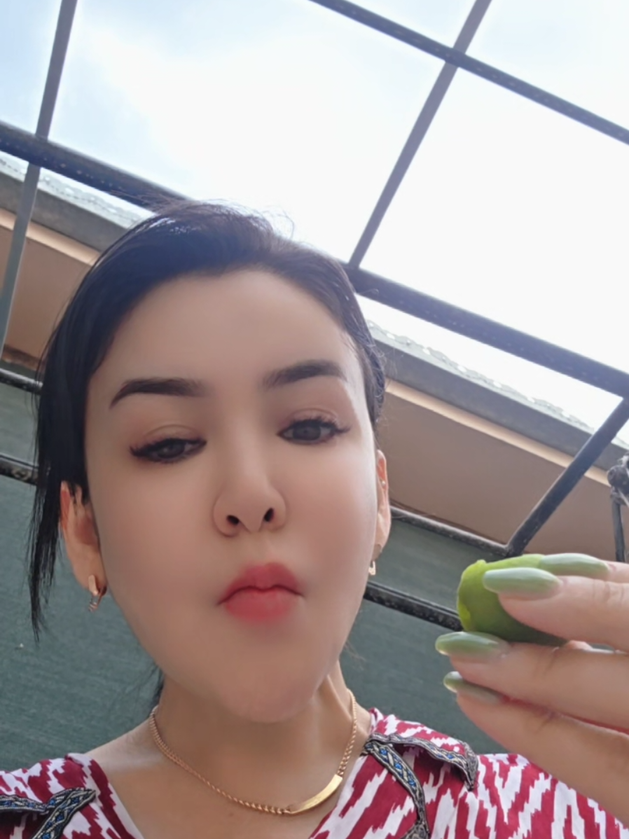 @ZEBO.01