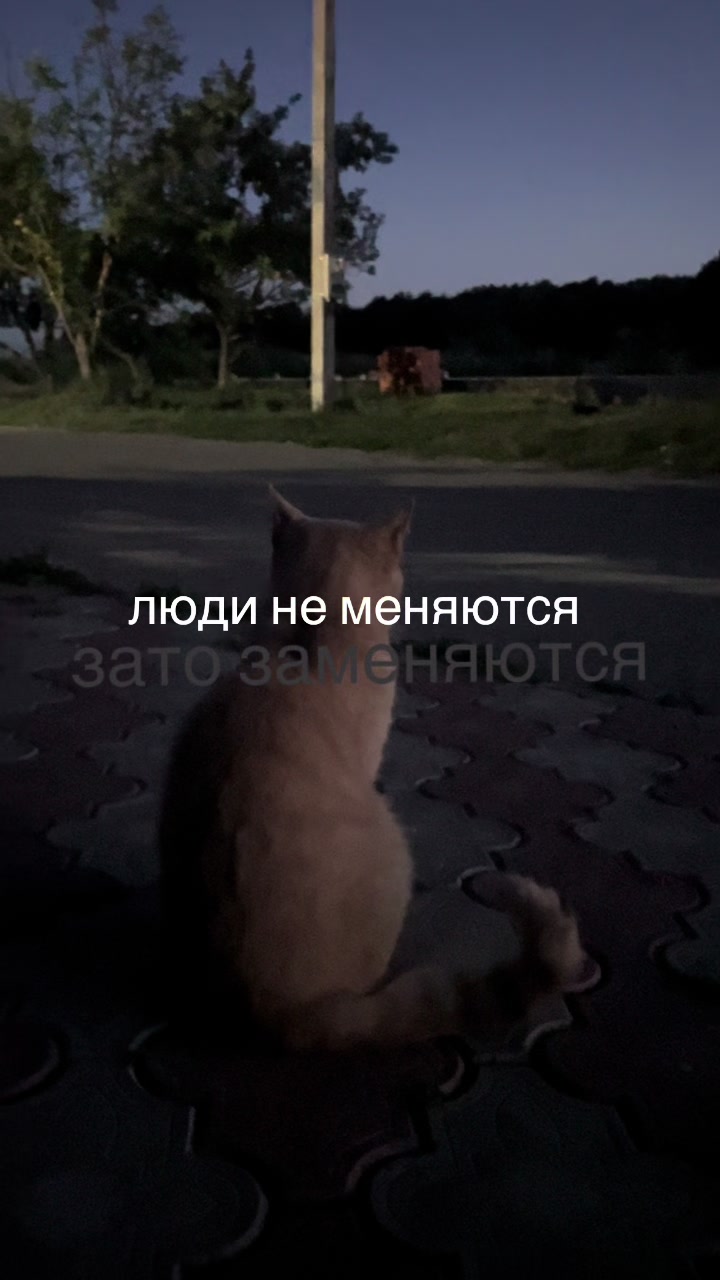@𝑘𝑠𝑒𝑛𝑠𝑠🤍🧁