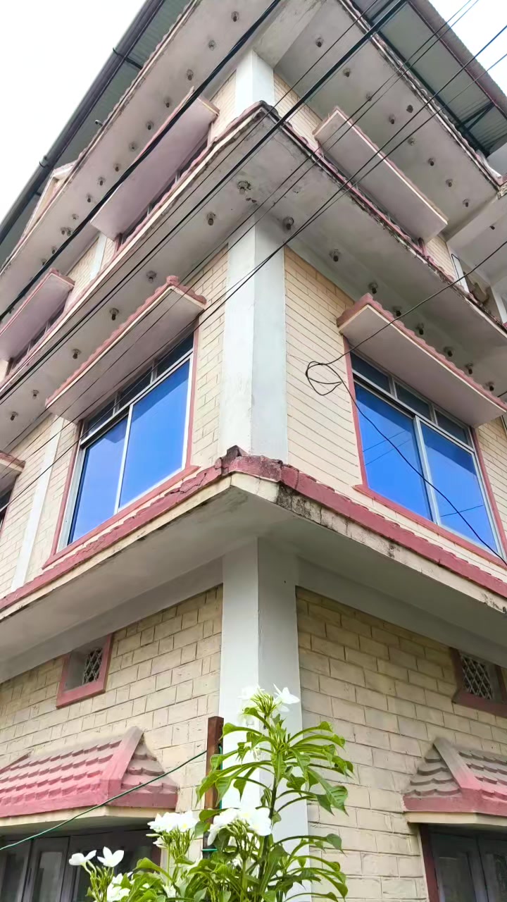 @sushilaparajuli46