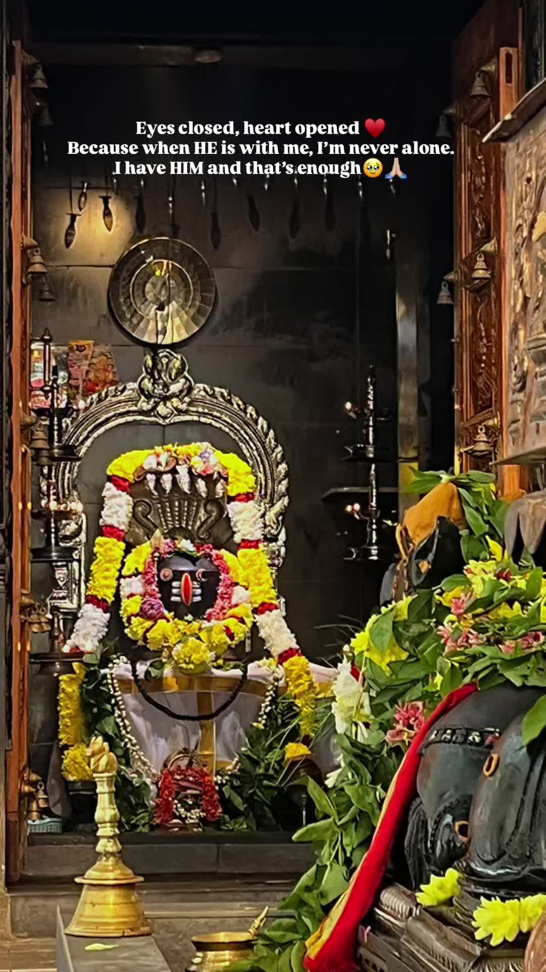 @सुरियाशु _0711🐼♥️