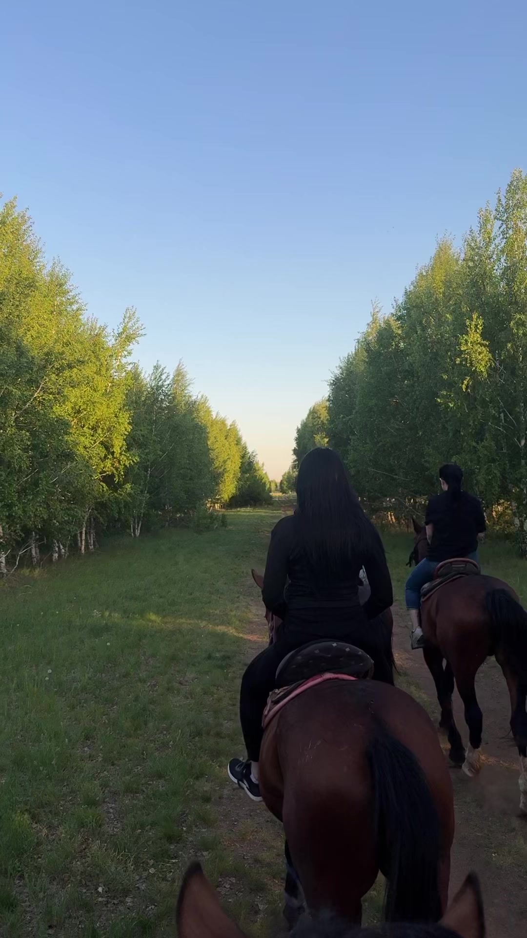 @Анара Мусина